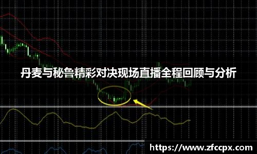 丹麦与秘鲁精彩对决现场直播全程回顾与分析